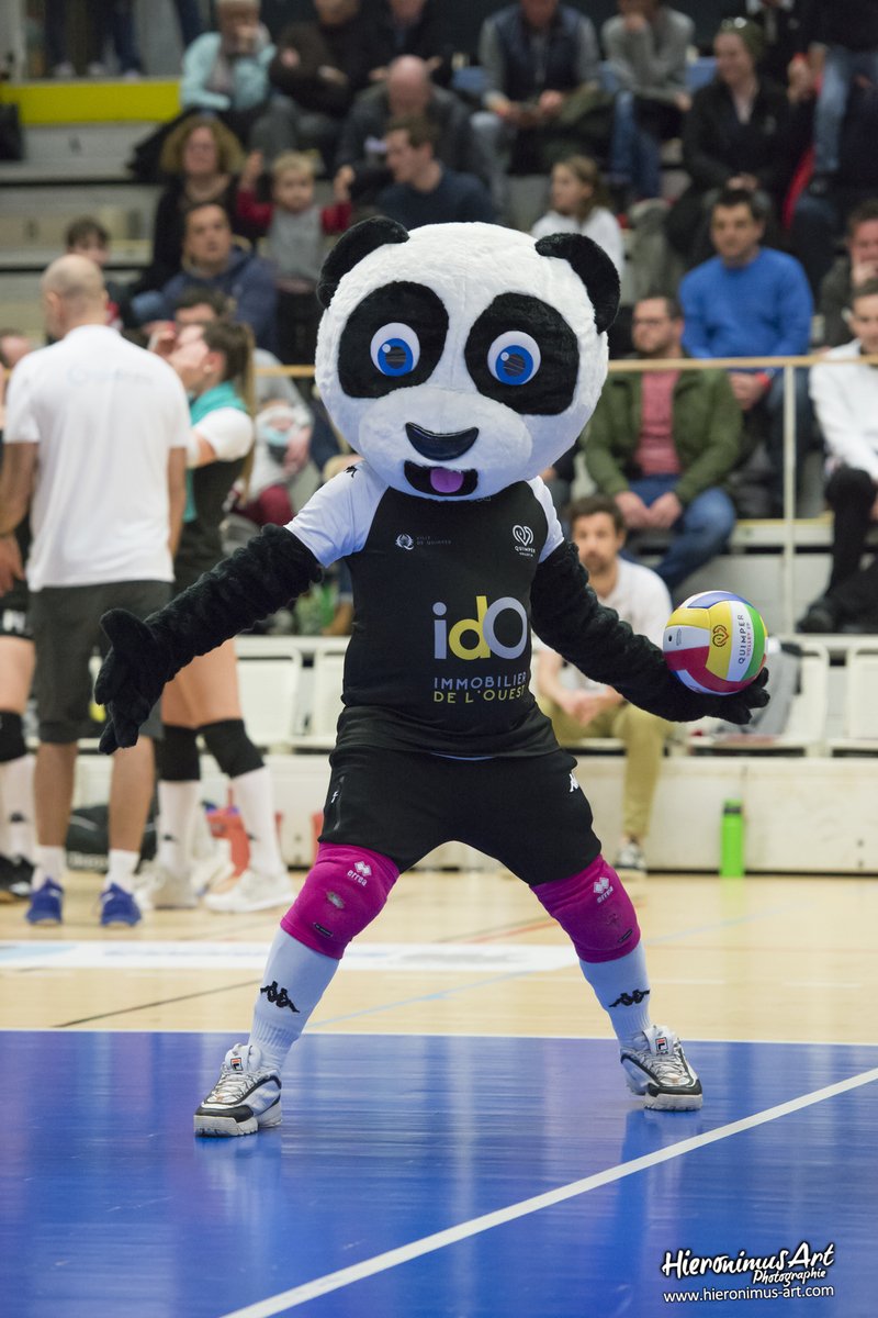 2-QuimperVollley29