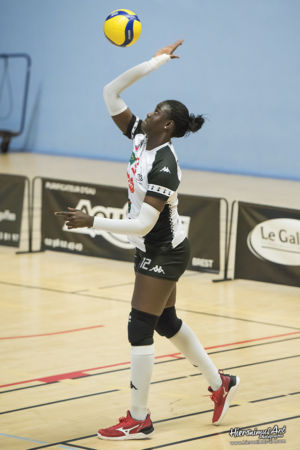 242-Quimper Volley 29 - REC Feminin